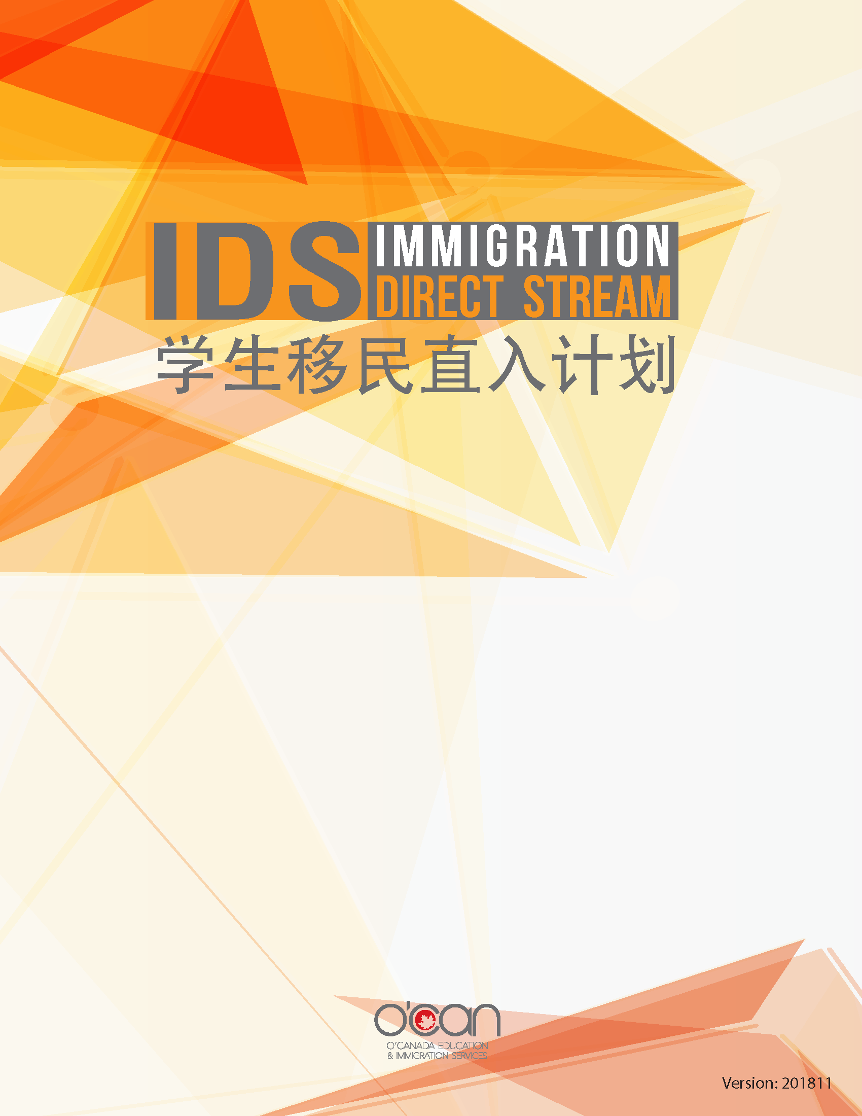 IDS-01.png