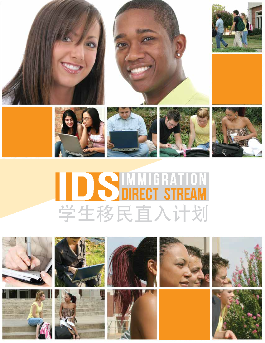 IDS-14.png